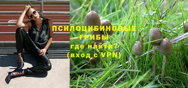 не бодяженный Беломорск