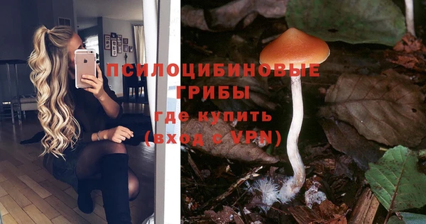 mix Белокуриха