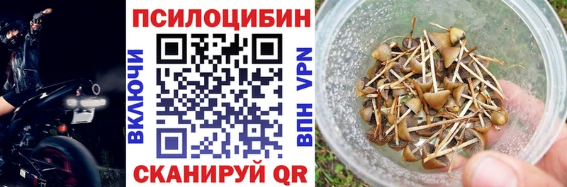 Псилоцибиновые грибы Cubensis  kraken рабочий сайт  Чегем 