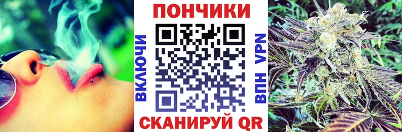 Бошки марихуана гибрид  darknet формула  Чегем 